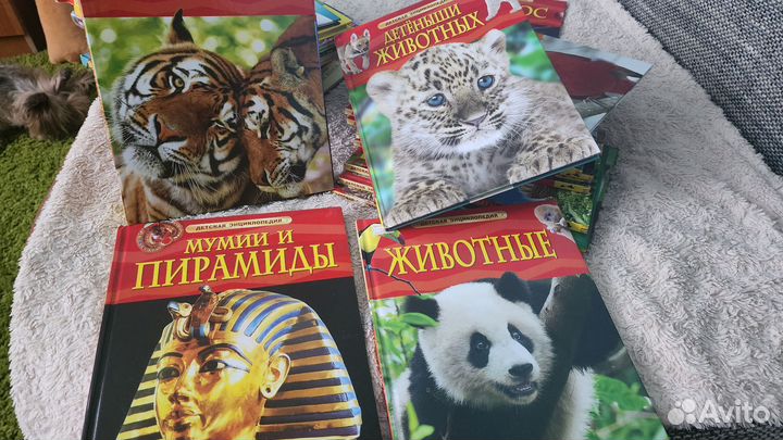 Энциклопедия для детей