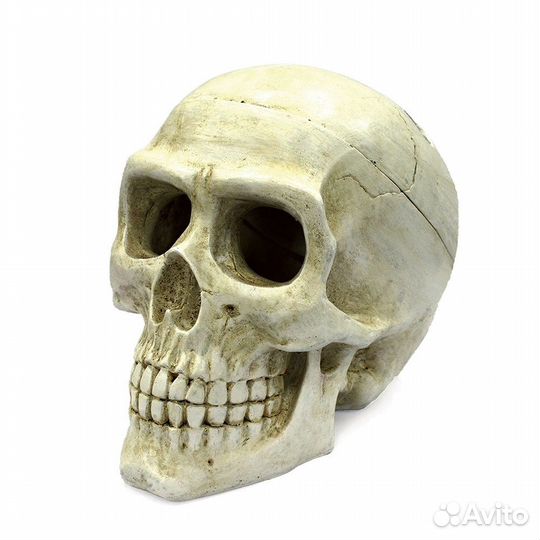 ArtUniq Large Skull - Декоративная композиция Боль