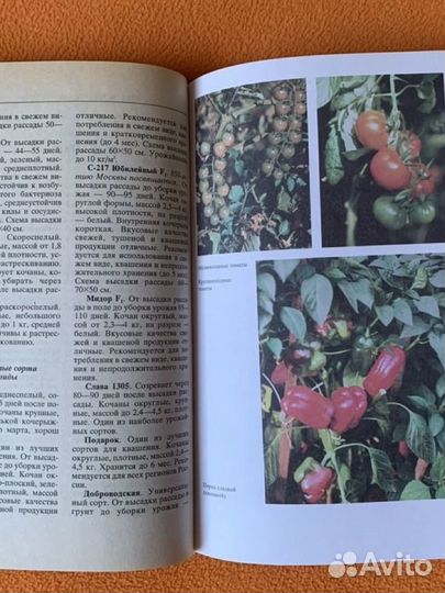 Ганичкина О.А. Энциклопедия садовода и огородника