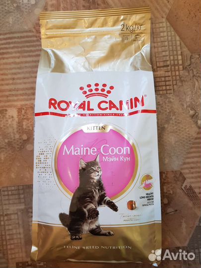 Корм для кошек и котят мейн-кун royal canin