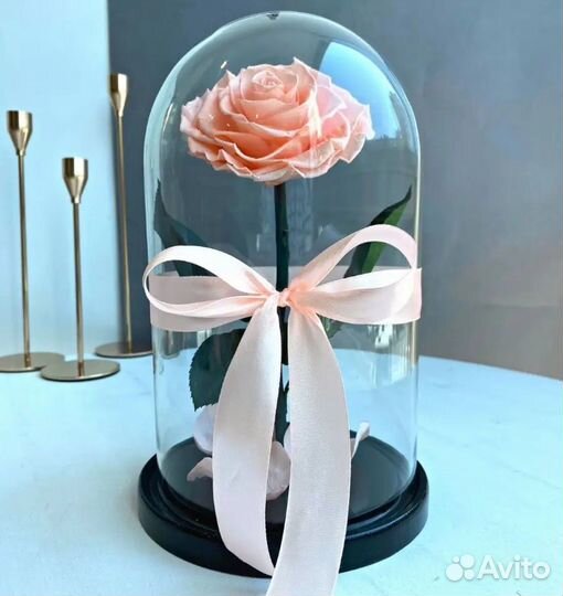 Роза в колбе