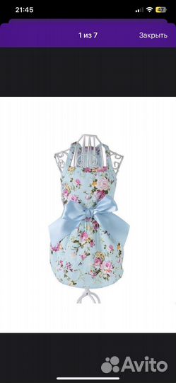 Вещи для маленьких собак