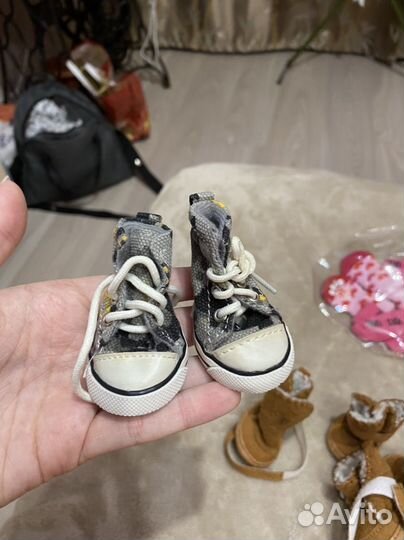 Обувь для собак 2