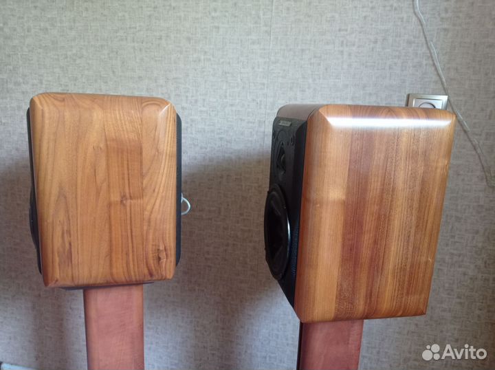 Акустика sonus faber minuetto