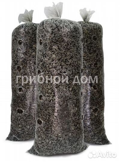 Грибные блоки вешенки на лузге подсолнечника