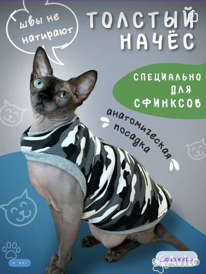 Одежда для котов