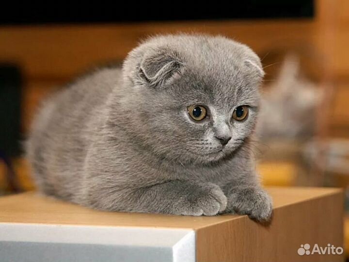 Мальчик красавчик