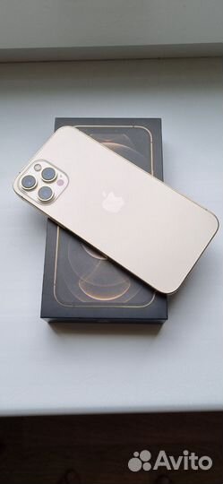 iPhone 12 Pro Max, 256 ГБ