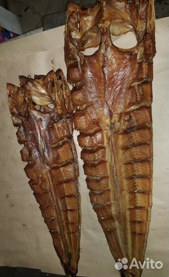 Астраханская рыба холодного копчения жерех сом