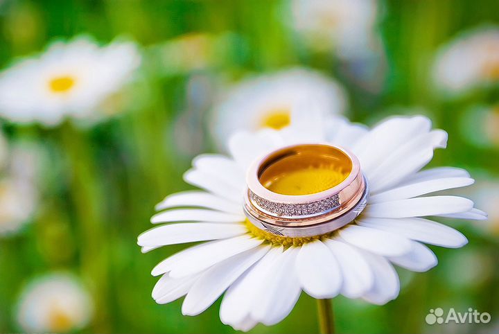 Фотограф на свадьбу, Свадебный фотограф в Спб