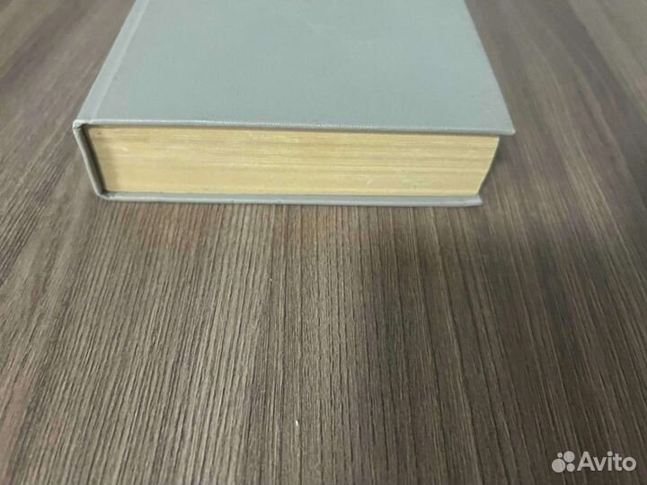 А.Чапыгин. Разин Степан