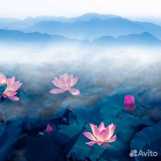 Дизайнерские фотообои 