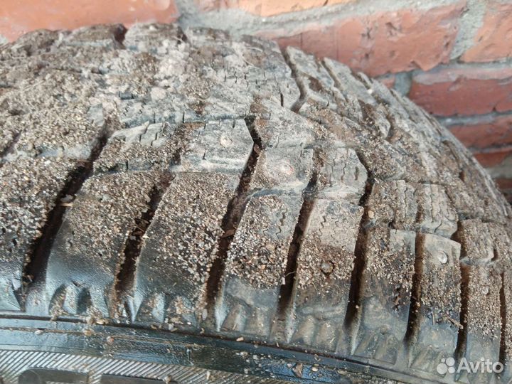 Roadstone Winguard 205/55 R16 20B