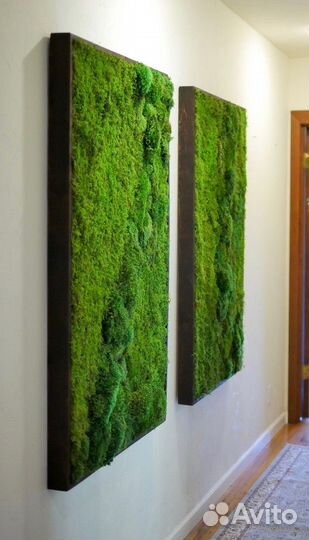 Озеленение интерьера. Фитостена