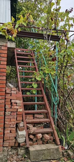 Дача 51,5 м² на участке 5 сот.