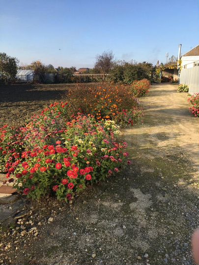 Дом 36,8 м² на участке 8,8 сот.