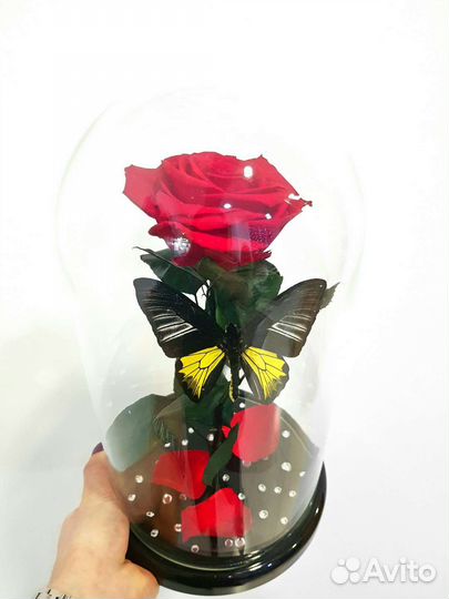 Роза в колбе