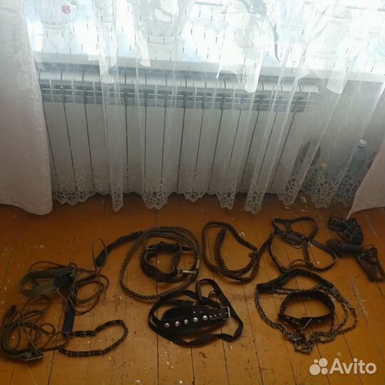 Инвентарь для крупных собак