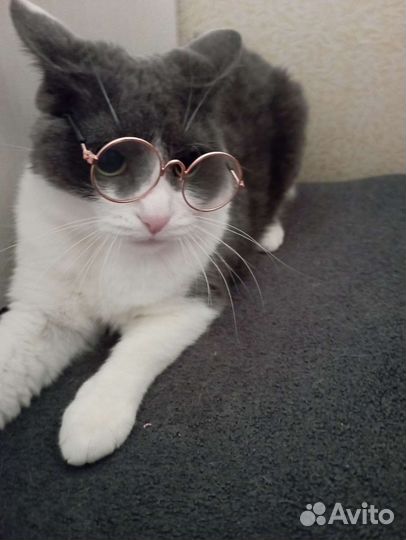 Рюкзак переноска новая