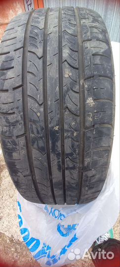 Roadstone Classe Premiere CP672 195/55 R16