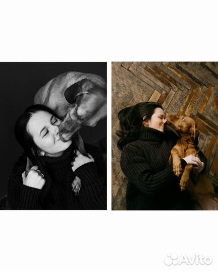 Портретный фотограф, анималист