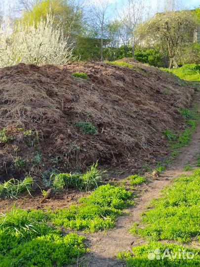 Навоз коровий бесплатно, самовывоз