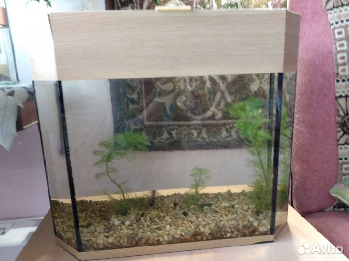 Аквариум 40 литров