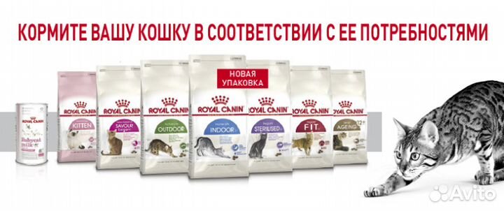 Сухие корма Royal Canin для собак и кошек
