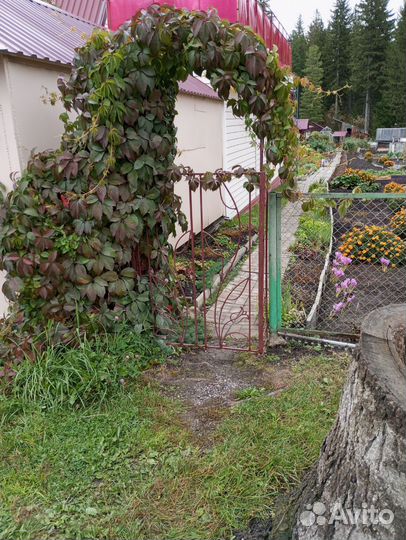 Арка с калиткой