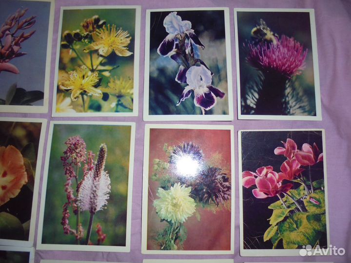 Цветы изд.Правда 1960-1988 гг чистые