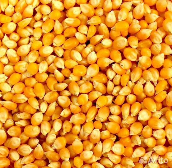 Пшеница,кукуруза,горох,отруби,жмых соевый,дерть