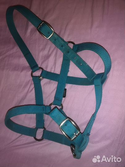 Амуниция для конного спорта