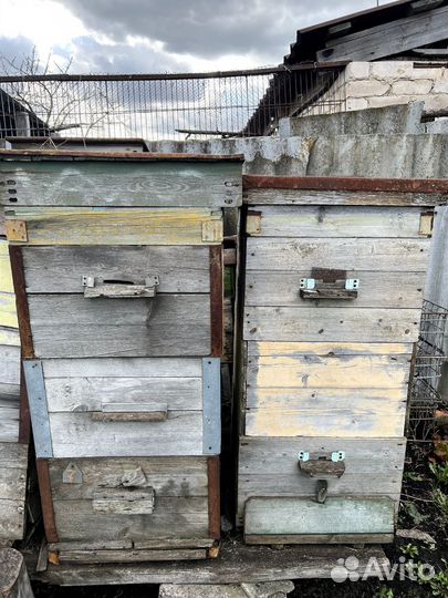 Ульи для пчел