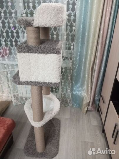 Кошачий комплекс, когтеточка