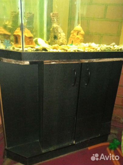 Аквариум