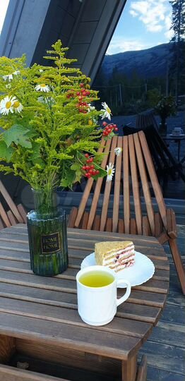 Коттедж 110 м² на участке 24 сот.