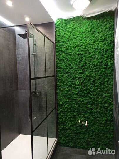 Мох Стабилизированный От Производителя