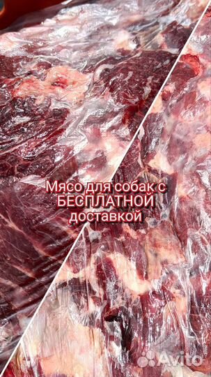 Мясо для собак