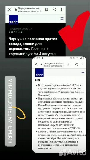 Живое масло черного тмина сыродавленное