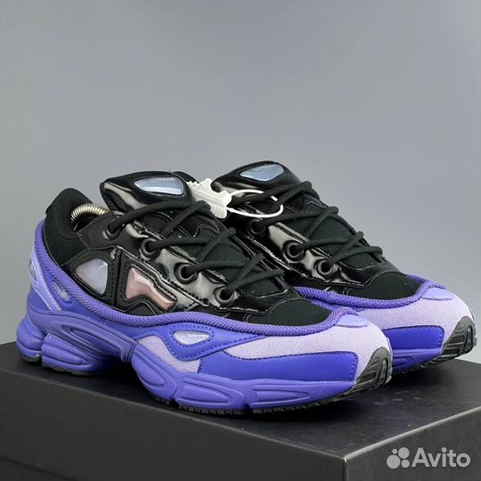 Adidas Raf Simons Purple