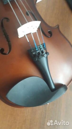 Скрипка 1/2