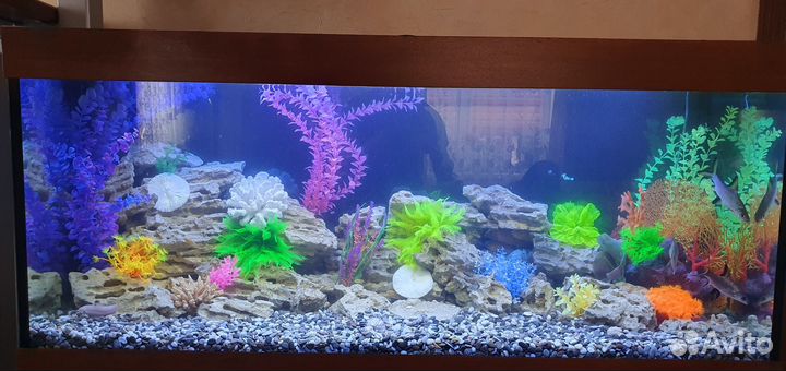 Чистка аквариума