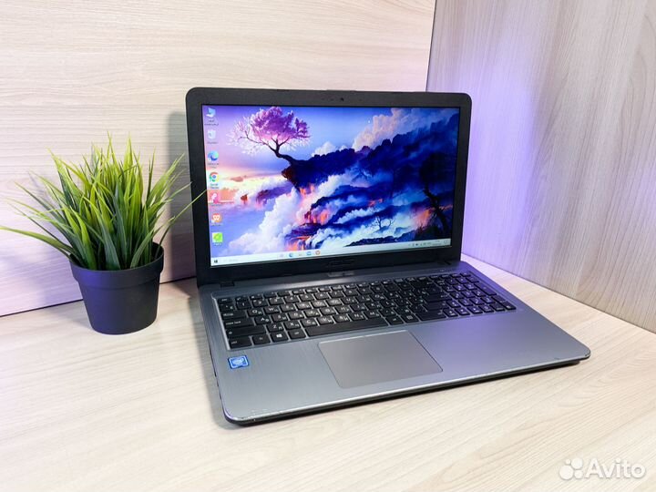 Ноутбук Asus Intel N3060/500Gb