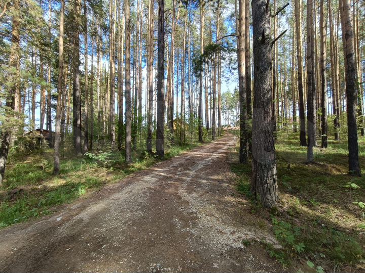 Участок 6,5 сот. (СНТ, ДНП)