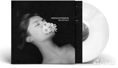 Black Nail Cabaret - Chrysanthemum (1 LP)