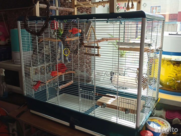 Волнистые попугаи с клеткой