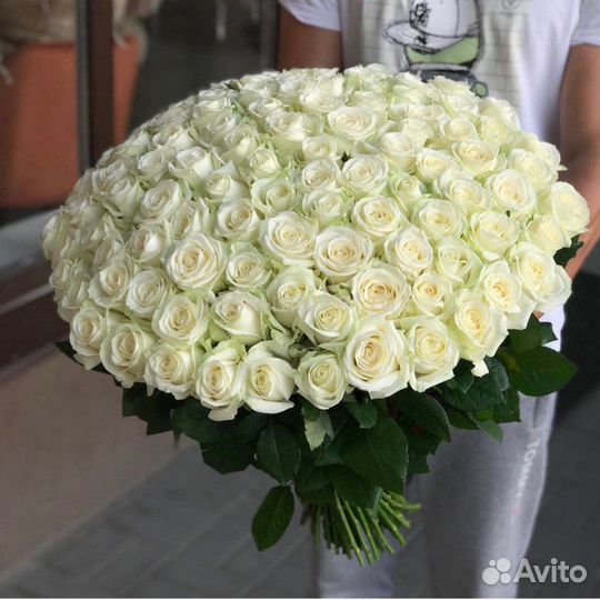 Розы 101 штука 60 см