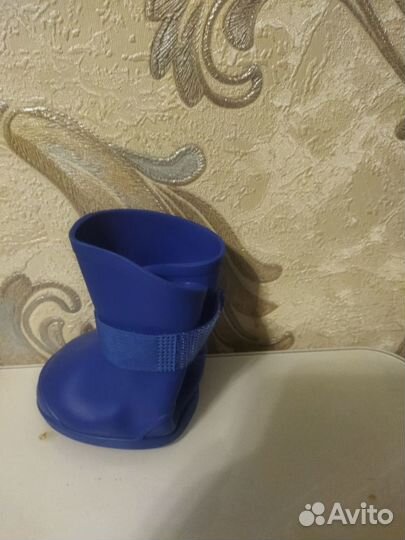 Обувь для собак