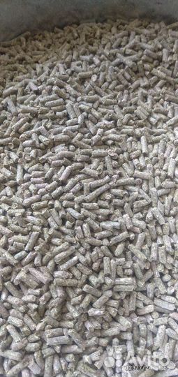 Корма для животных и птиц кукуруза комбикорм