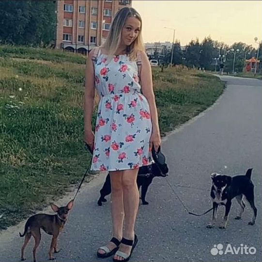 Передержка